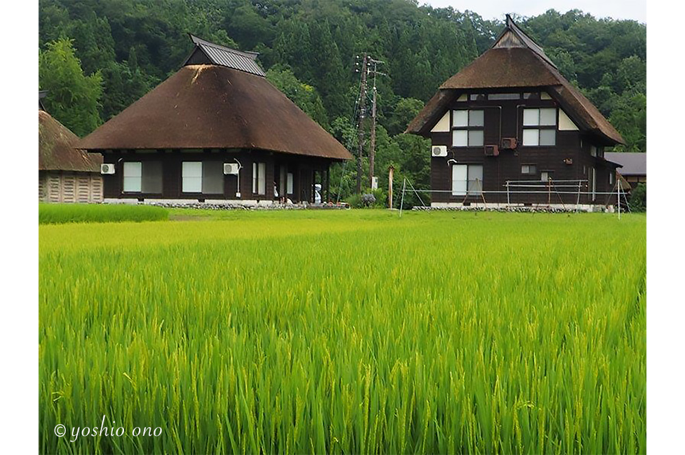 写真家　小野好男　ギャラリー「茅葺き屋根」